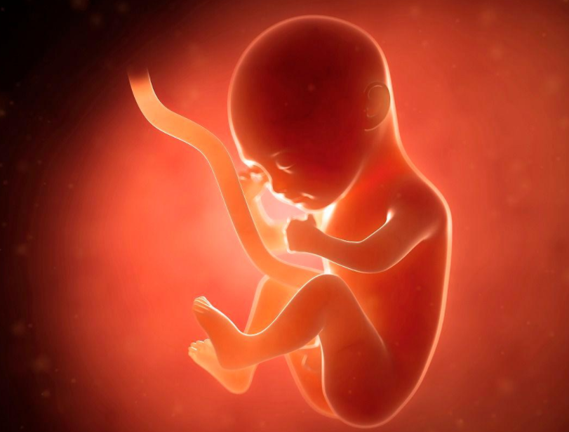 孕期进入28周后,这两种睡姿要避免,容易引起宝宝发育"